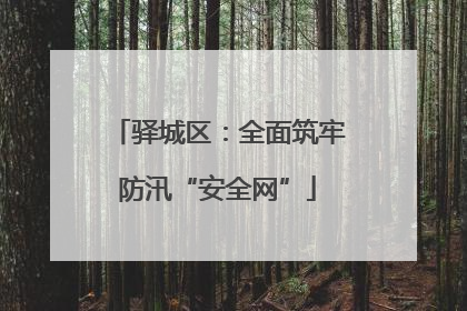 驿城区：全面筑牢防汛“安全网”