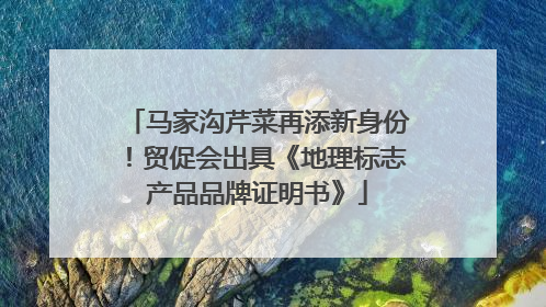 马家沟芹菜再添新身份！贸促会出具《地理标志产品品牌证明书》
