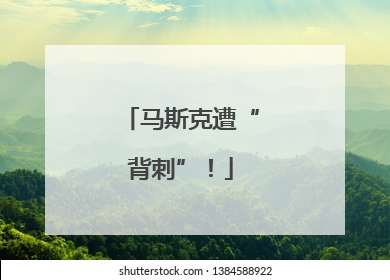 马斯克遭“背刺”！
