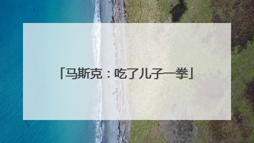 马斯克：吃了儿子一拳