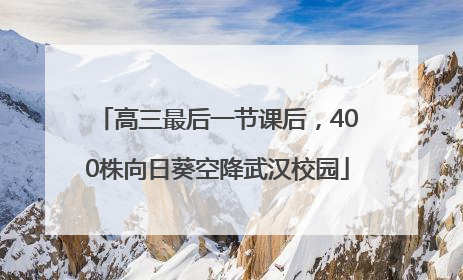 高三最后一节课后，400株向日葵空降武汉校园