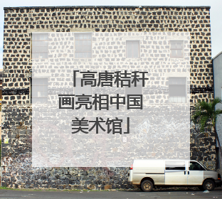 高唐秸秆画亮相中国美术馆