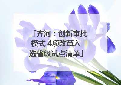 齐河：创新审批模式 4项改革入选省级试点清单