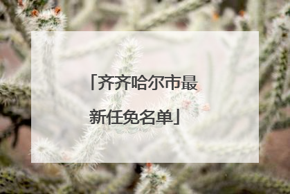 齐齐哈尔市最新任免名单