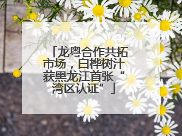 龙粤合作共拓市场，白桦树汁获黑龙江首张“湾区认证”