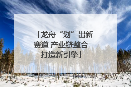 龙舟“划”出新赛道 产业链整合打造新引擎