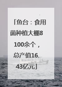 鱼台：食用菌种植大棚8100余个，总产值16.43亿元