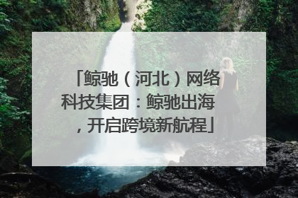 鲸驰（河北）网络科技集团：鲸驰出海，开启跨境新航程