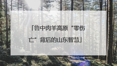 鲁中肉羊高原“零伤亡”背后的山东智慧