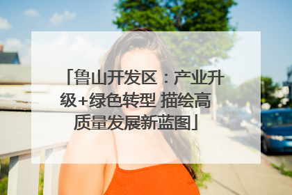 鲁山开发区：产业升级+绿色转型 描绘高质量发展新蓝图
