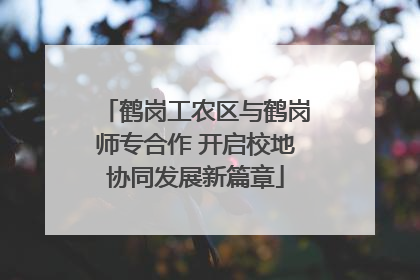 鹤岗工农区与鹤岗师专合作 开启校地协同发展新篇章