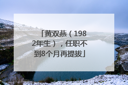 黄双燕（1982年生），任职不到8个月再提拔