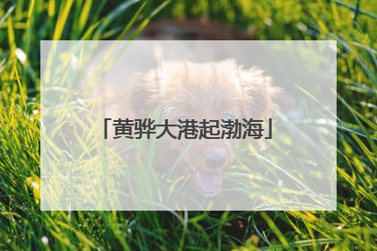 黄骅大港起渤海