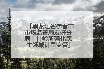 黑龙江省伊春市市场监管局友好分局上甘岭所强化民生领域计量监管
