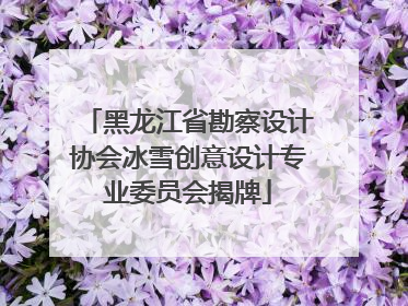 黑龙江省勘察设计协会冰雪创意设计专业委员会揭牌