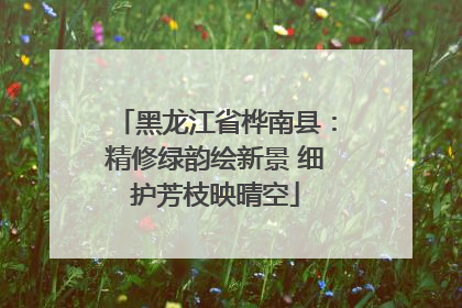 黑龙江省桦南县：精修绿韵绘新景 细护芳枝映晴空