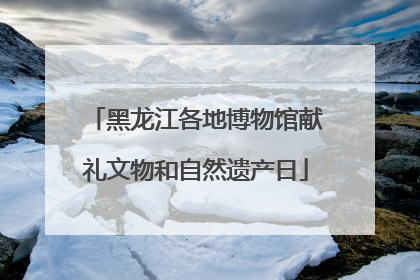 黑龙江各地博物馆献礼文物和自然遗产日