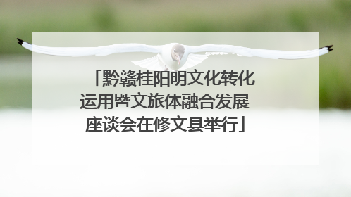 黔赣桂阳明文化转化运用暨文旅体融合发展座谈会在修文县举行