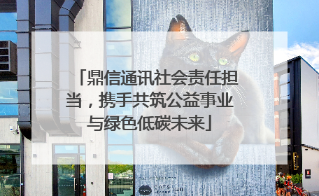 鼎信通讯社会责任担当，携手共筑公益事业与绿色低碳未来