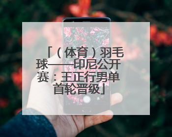 （体育）羽毛球——印尼公开赛：王正行男单首轮晋级