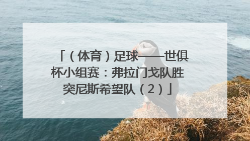 （体育）足球——世俱杯小组赛：弗拉门戈队胜突尼斯希望队（2）