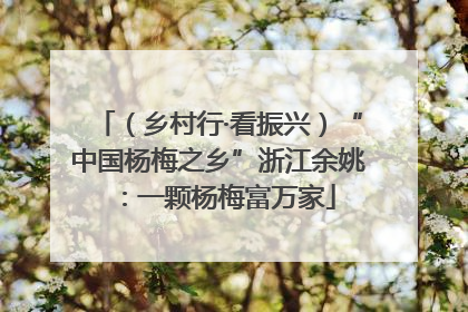 （乡村行·看振兴）“中国杨梅之乡”浙江余姚：一颗杨梅富万家