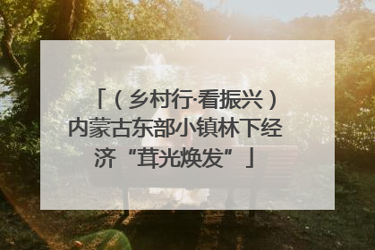 （乡村行·看振兴）内蒙古东部小镇林下经济“茸光焕发”