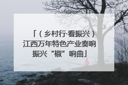 （乡村行·看振兴）江西万年特色产业奏响振兴“椒”响曲
