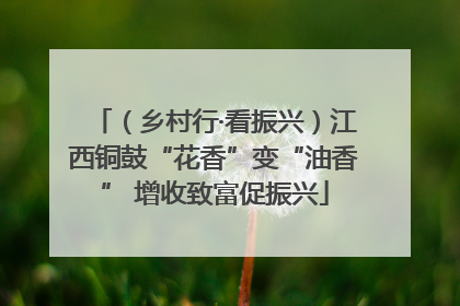 （乡村行·看振兴）江西铜鼓“花香”变“油香” 增收致富促振兴