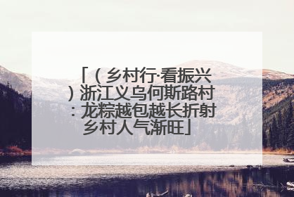 （乡村行·看振兴）浙江义乌何斯路村：龙粽越包越长折射乡村人气渐旺