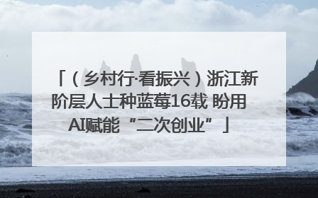 （乡村行·看振兴）浙江新阶层人士种蓝莓16载 盼用AI赋能“二次创业”