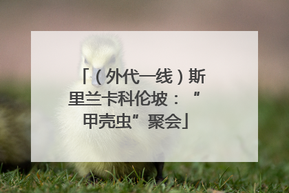 （外代一线）斯里兰卡科伦坡：“甲壳虫”聚会