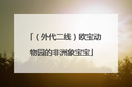 （外代二线）欧宝动物园的非洲象宝宝