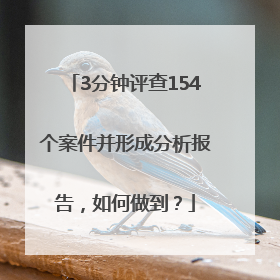 3分钟评查154个案件并形成分析报告，如何做到？