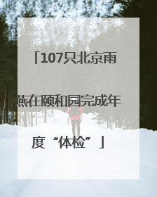 107只北京雨燕在颐和园完成年度“体检”