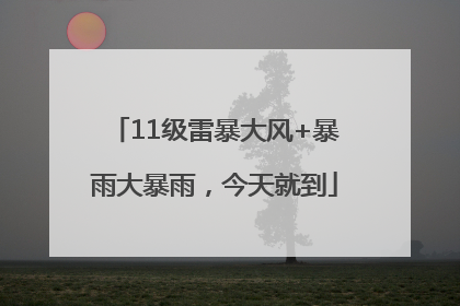 11级雷暴大风+暴雨大暴雨，今天就到