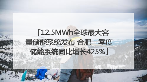 12.5MWh全球最大容量储能系统发布 合肥一季度储能系统同比增长425%