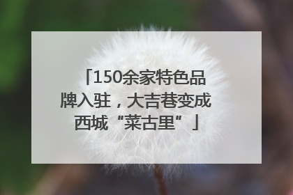 150余家特色品牌入驻，大吉巷变成西城“菜古里”