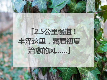2.5公里慢道！丰泽这里，藏着初夏治愈的风……