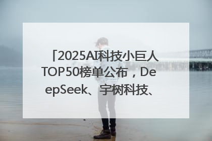 2025AI科技小巨人TOP50榜单公布，DeepSeek、宇树科技、蘑菇车联等企业荣誉上榜