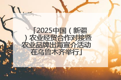 2025中国（新疆）农业经贸合作对接暨农业品牌出海宣介活动在乌鲁木齐举行