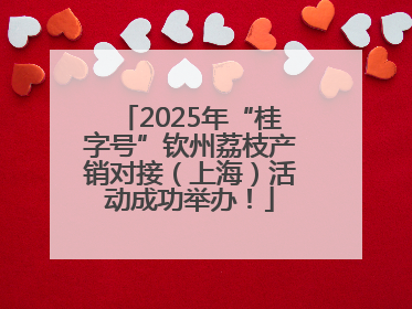 2025年“桂字号”钦州荔枝产销对接（上海）活动成功举办！