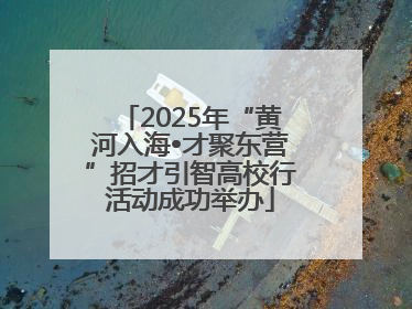 2025年“黄河入海•才聚东营”招才引智高校行活动成功举办