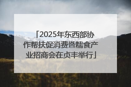 2025年东西部协作帮扶促消费暨糯食产业招商会在贞丰举行