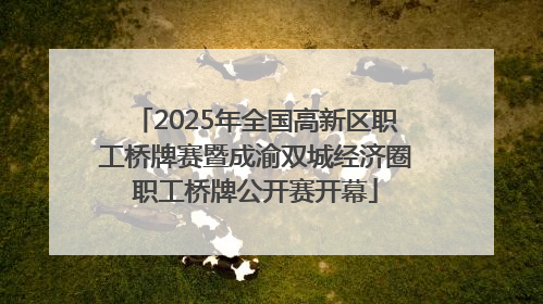 2025年全国高新区职工桥牌赛暨成渝双城经济圈职工桥牌公开赛开幕