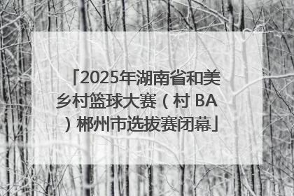 2025年湖南省和美乡村篮球大赛（村 BA）郴州市选拔赛闭幕