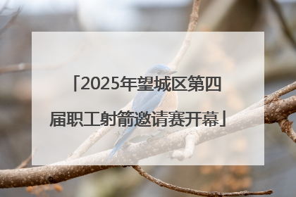 2025年望城区第四届职工射箭邀请赛开幕