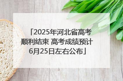 2025年河北省高考顺利结束 高考成绩预计6月25日左右公布