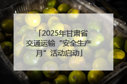 2025年甘肃省交通运输“安全生产月”活动启动