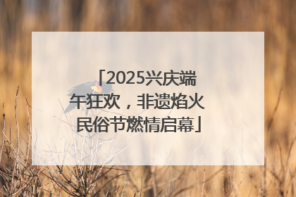 2025兴庆端午狂欢，非遗焰火民俗节燃情启幕